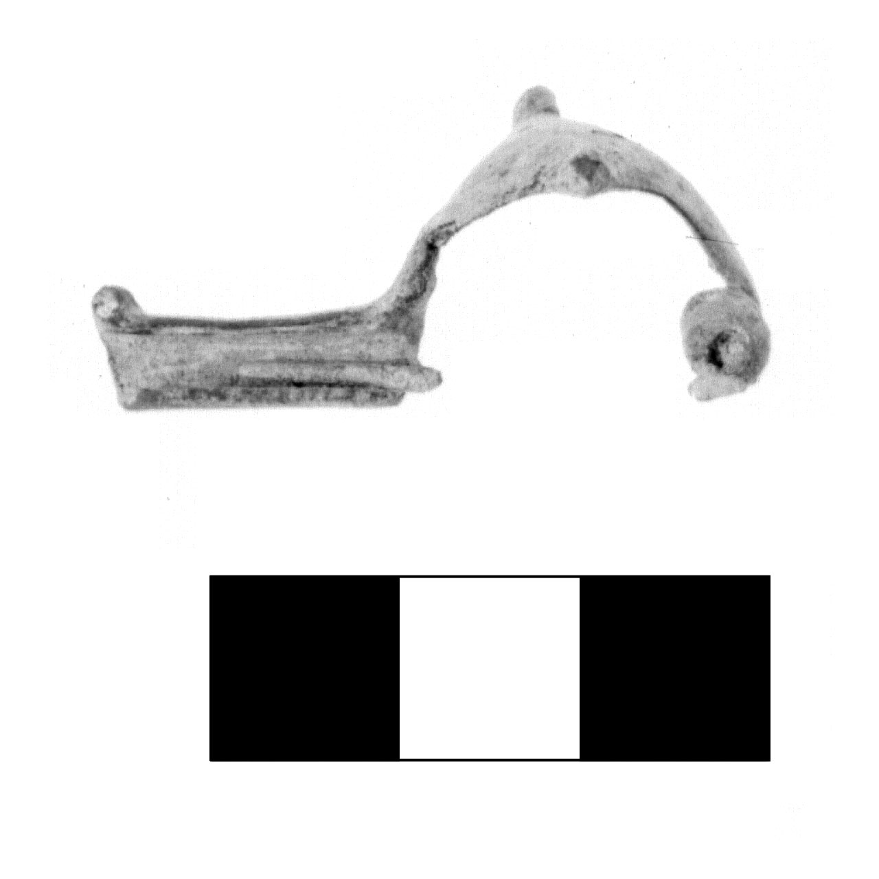 fibula due bottoni - fase Piceno IV A (sec. VI a.C)