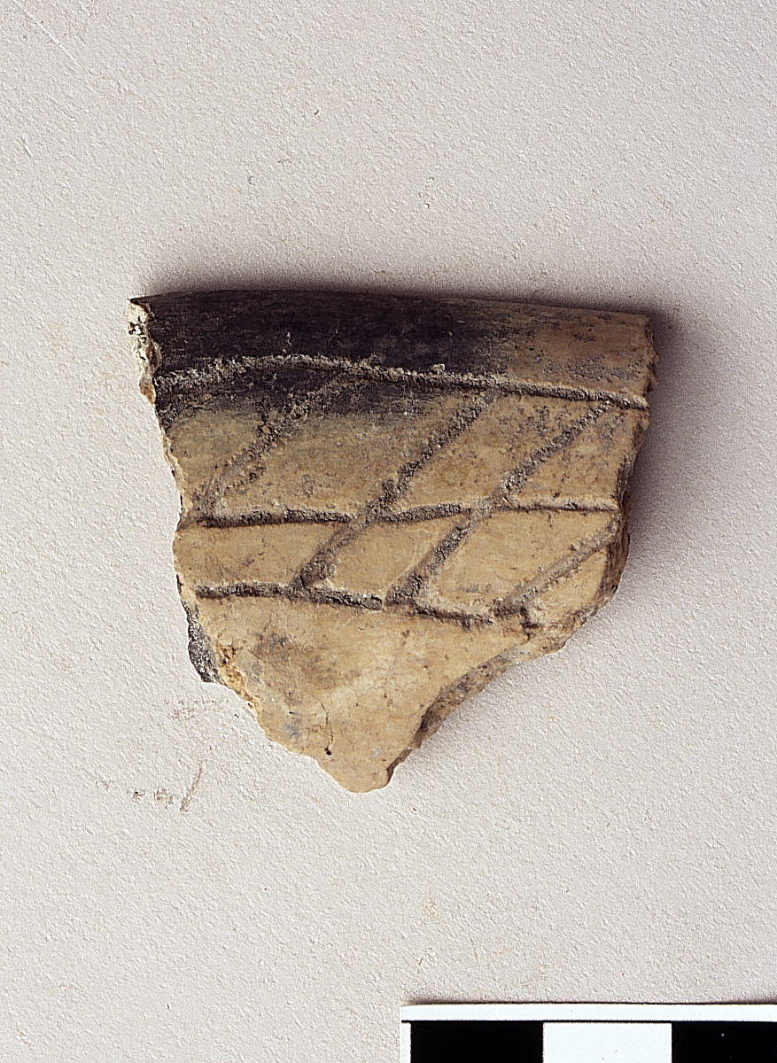 orlo di ciotola - appenninico (bronzo medio)