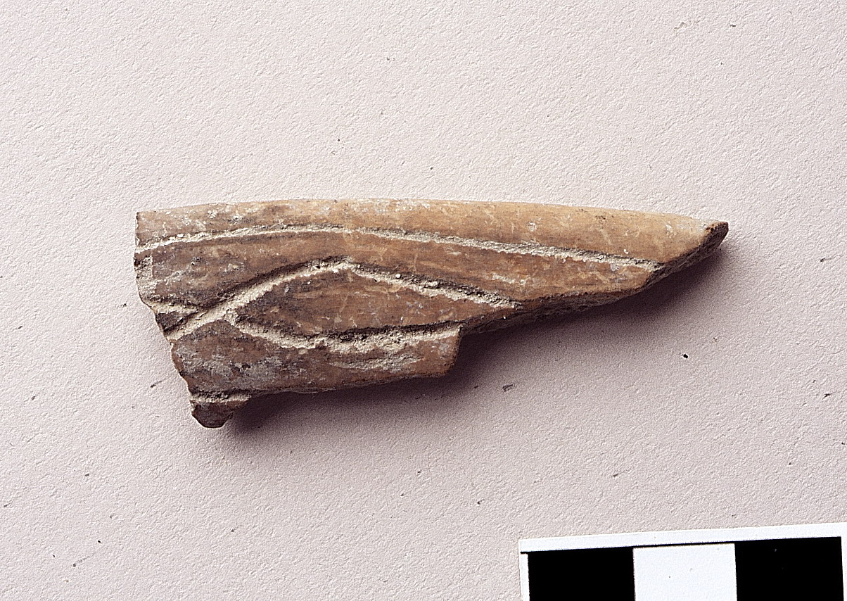 orlo di ciotola - appenninico (bronzo medio)