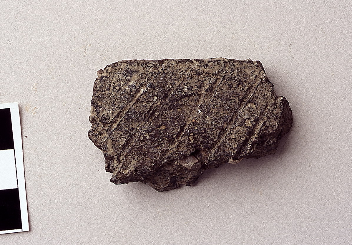 orlo e parete di scodella - cultura della ceramica impressa medio-adriatica (neolitico antico)