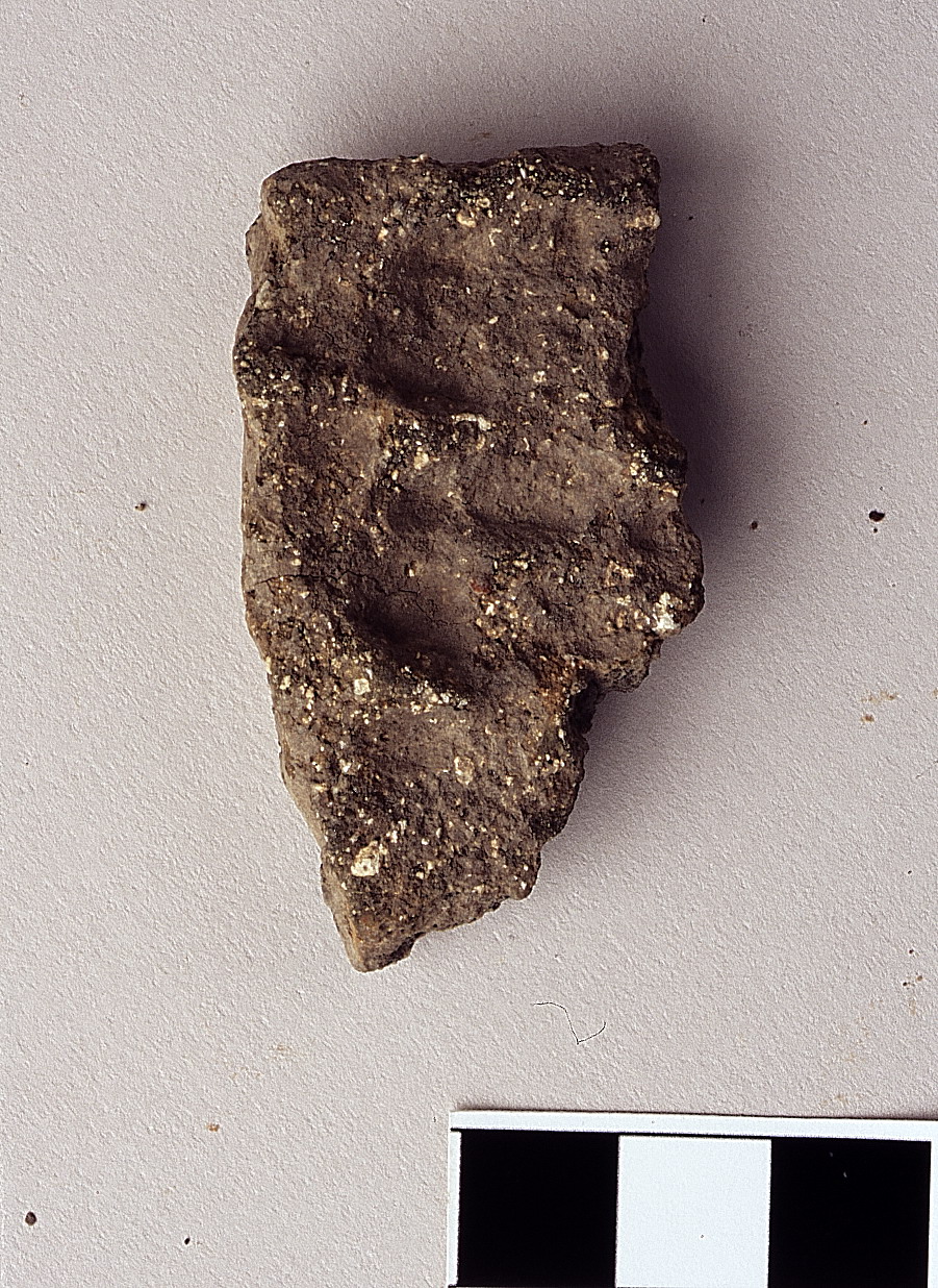 orlo di non id - cultura della ceramica impressa medio-adriatica (neolitico antico)