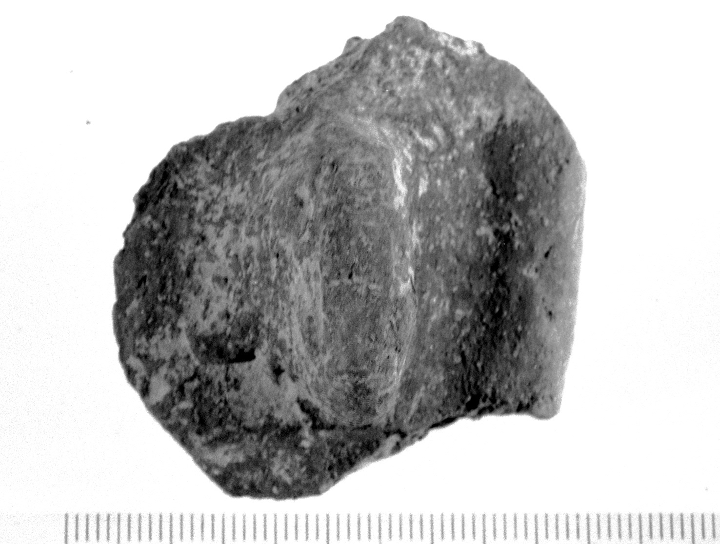 parete di poculum/ frammento - fase Piceno VI (secc. IV - III a.C)