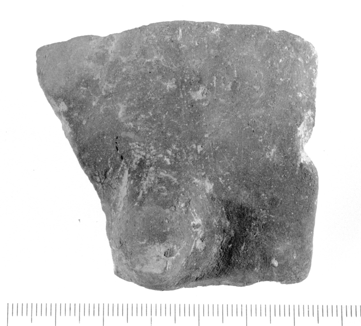 parete di poculum/ frammento - fase Piceno V (secc. V - IV a.C)