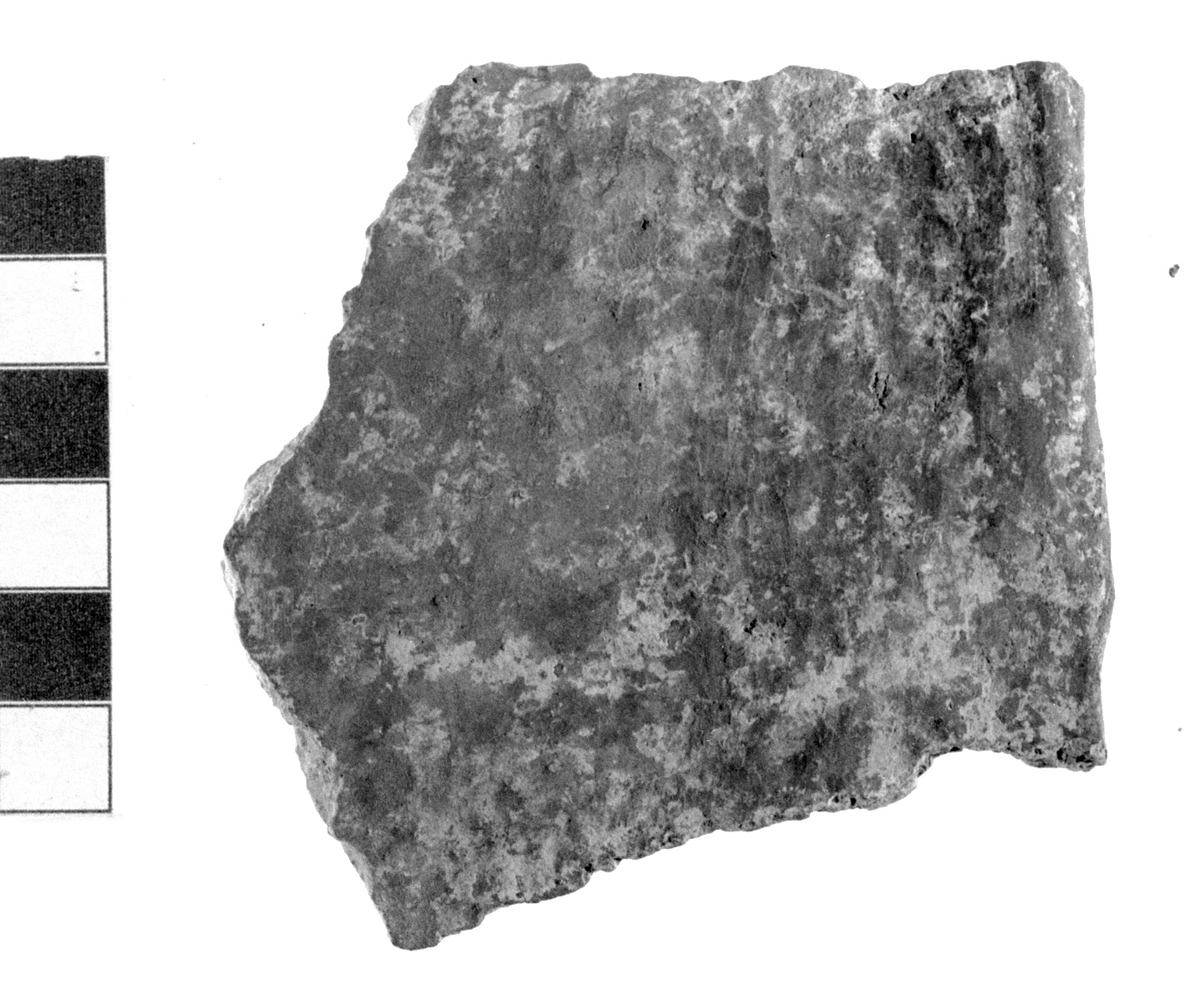 parete di poculum/ frammento (secc. V - IV a.C)