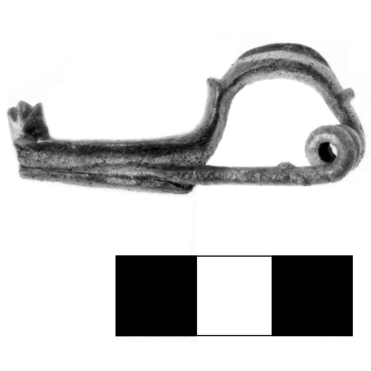 fibula, Tipo San Ginesio - fase Piceno IV A (sec. VI a.C)