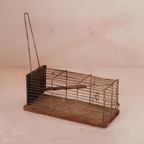 trappola per topi, trappole per topi, utensili domestici - artigianato contadino (sec. XX prima metà, da 1900 a 1949)