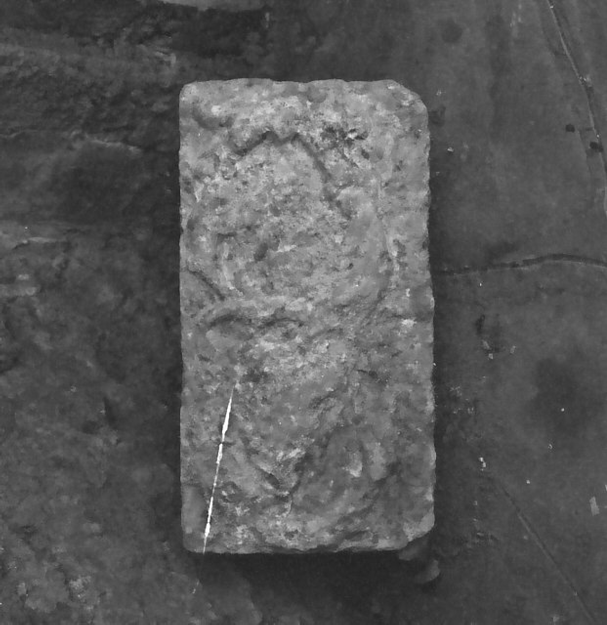 decorazione plastica, frammento - bottega calabrese (fine/ inizio secc. XII/ XIII)