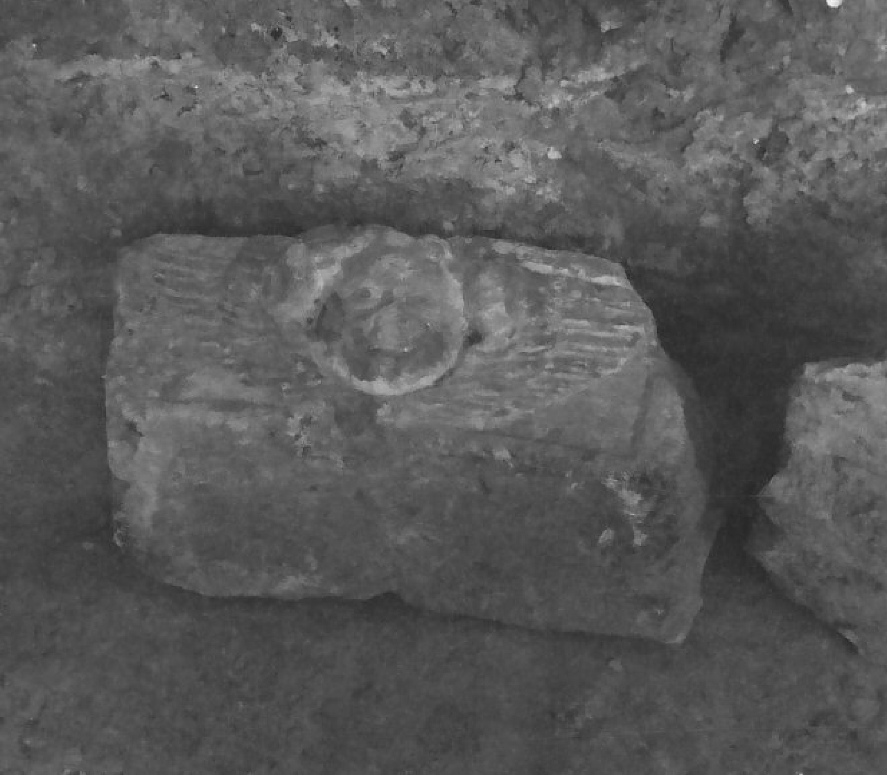 decorazione plastica, frammento - bottega calabrese (sec. XVI)