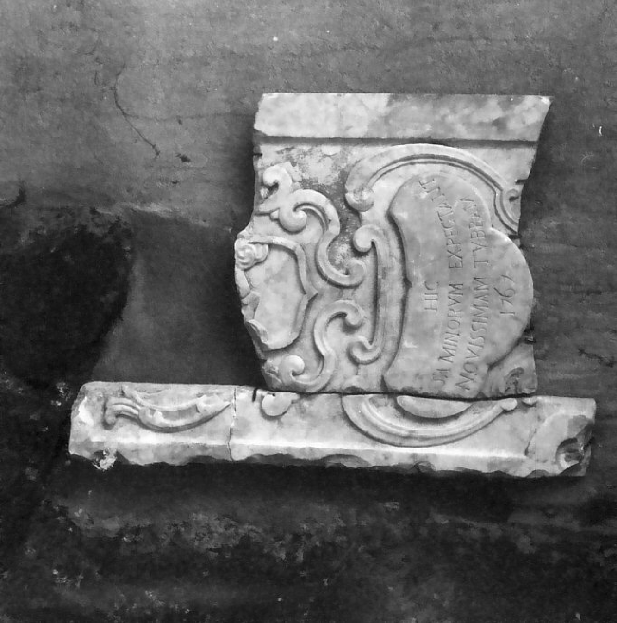 decorazione plastica, frammento - bottega calabrese (sec. XVIII)