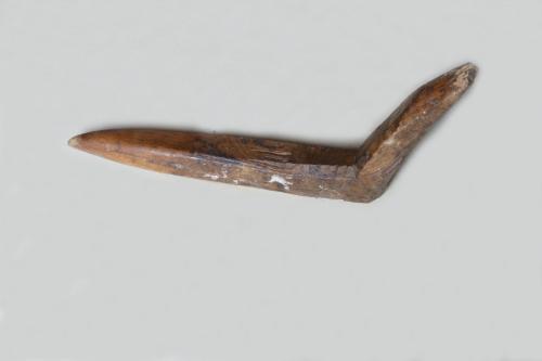 cavicchio, lavori nel terreno - bottega del falegname (sec. XX prima metà)