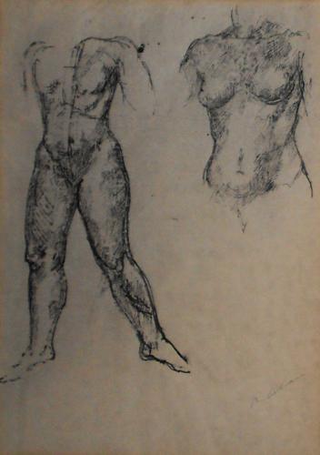 Studio di nudo, figura femminile nuda (disegno, opera isolata) di Calvani Bruno (XX)