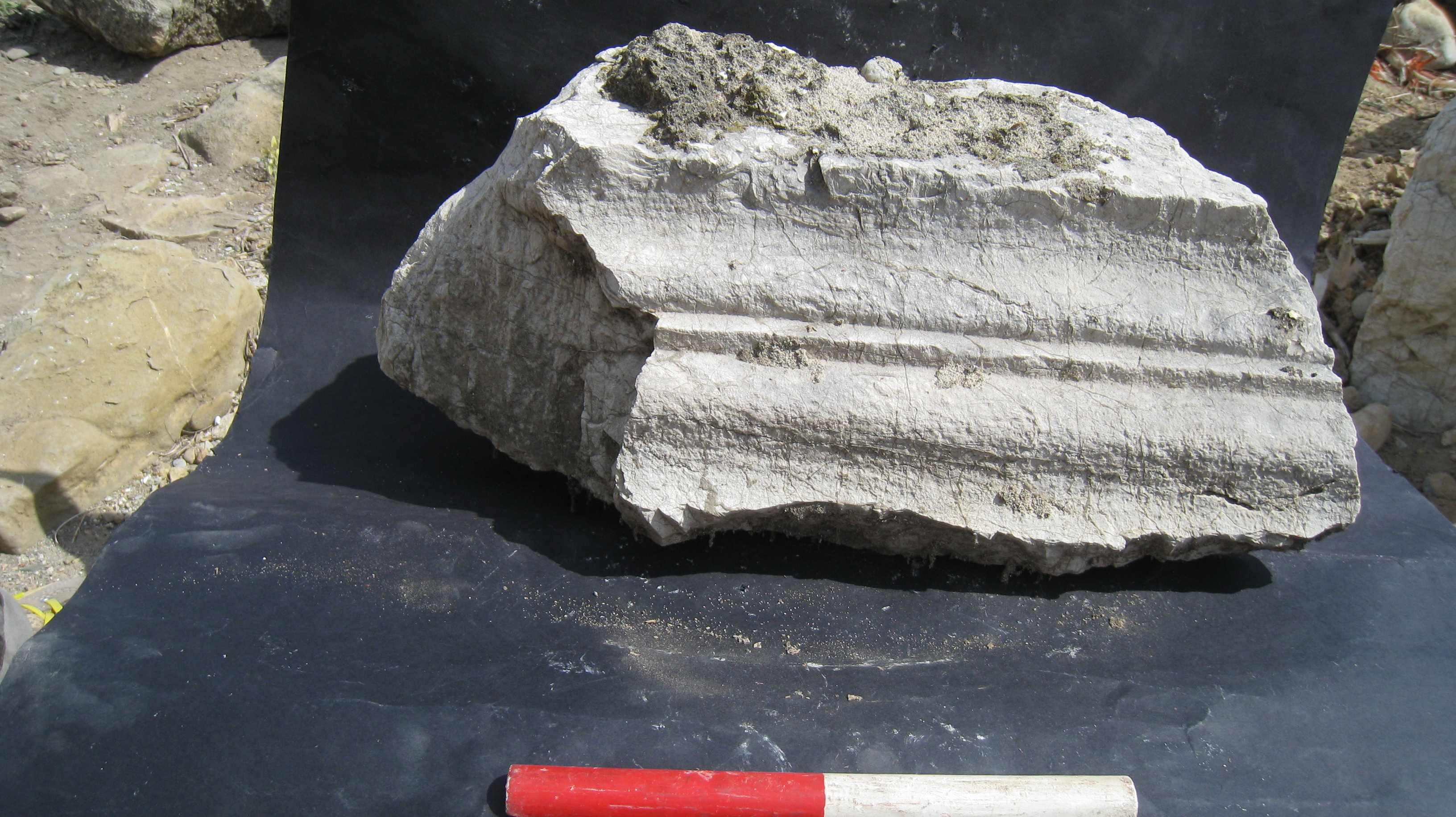 blocco, zoccolatura (Eta' romana)