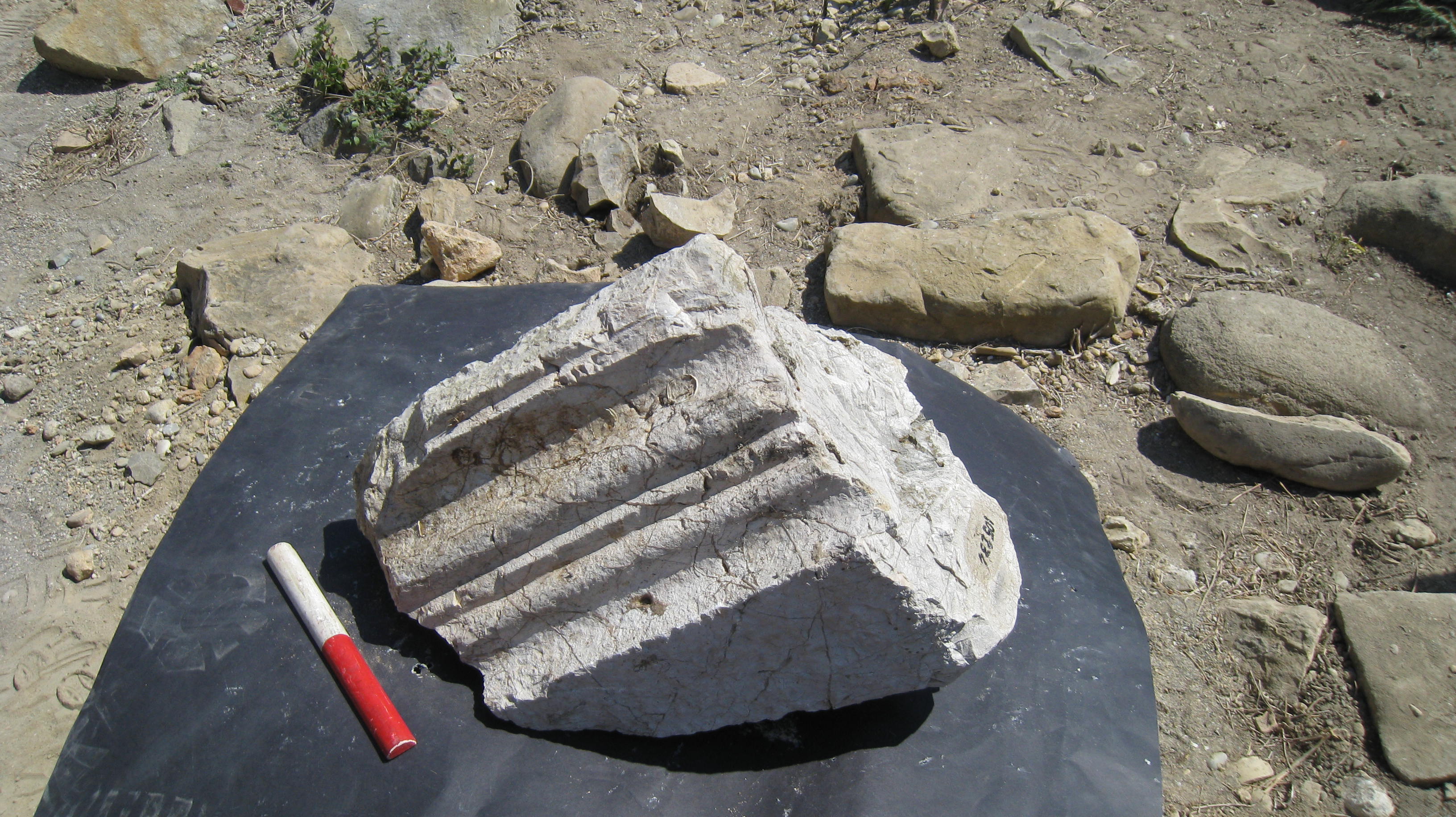 blocco, cornice (Eta' romana)