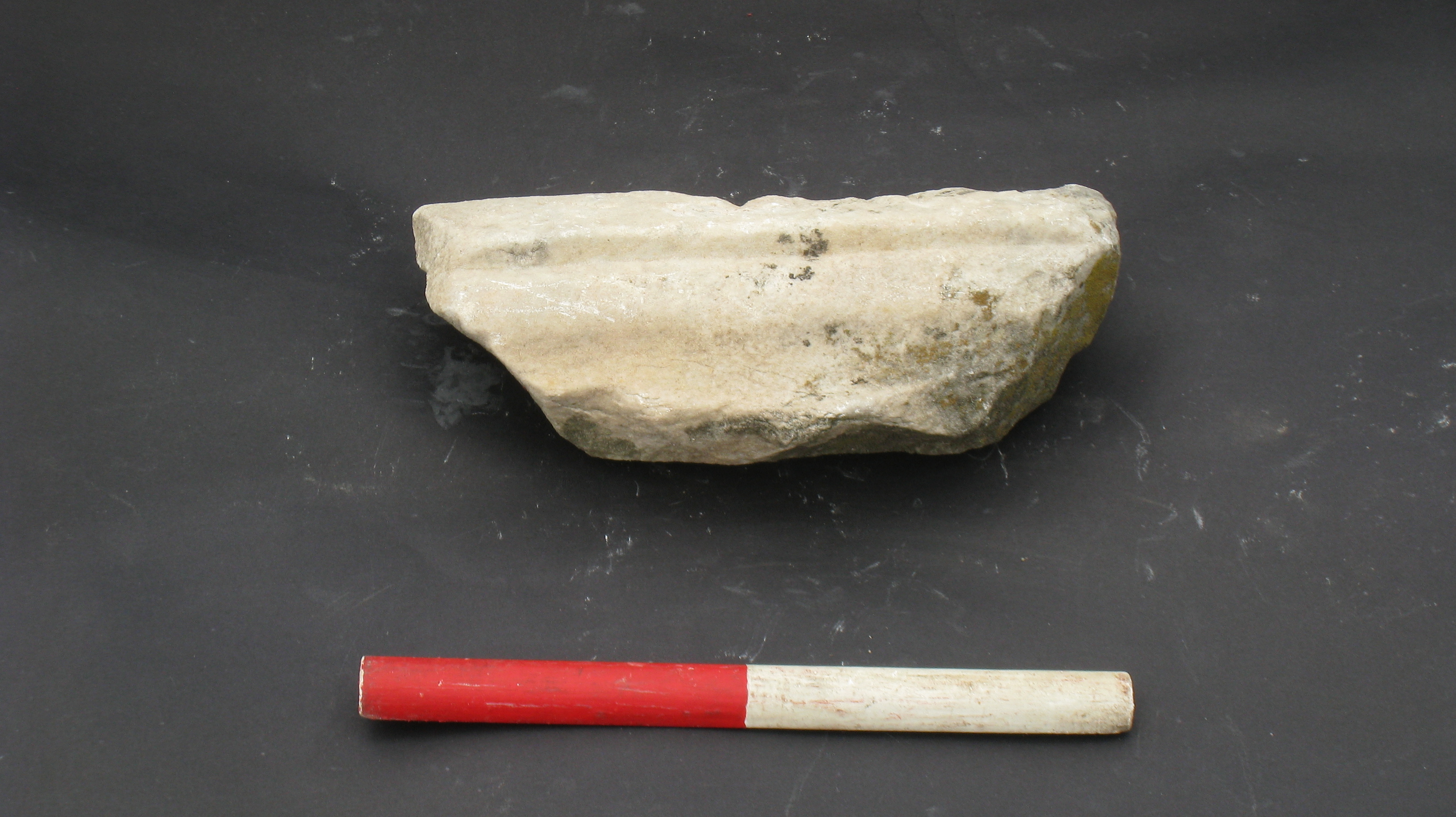 bacile (Eta' romana)