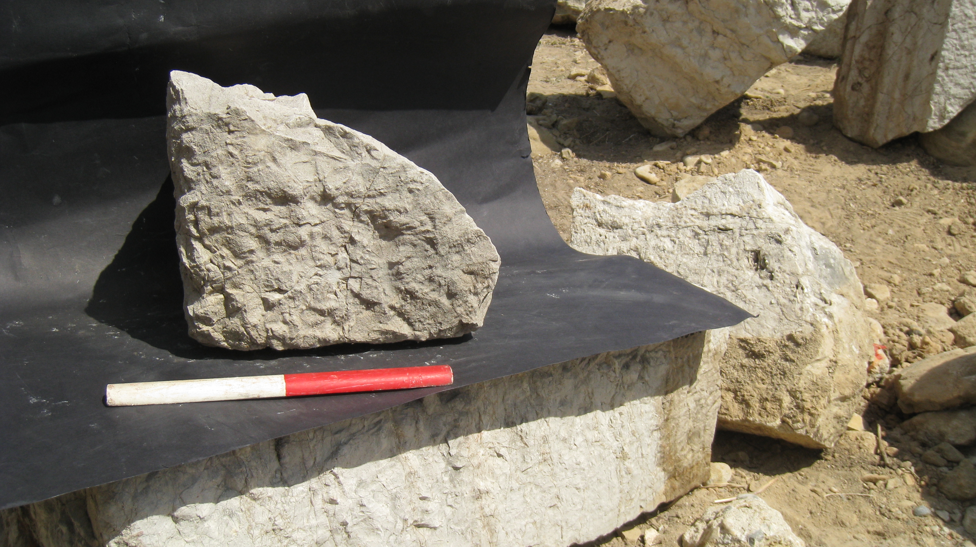 blocco (Eta' romana)