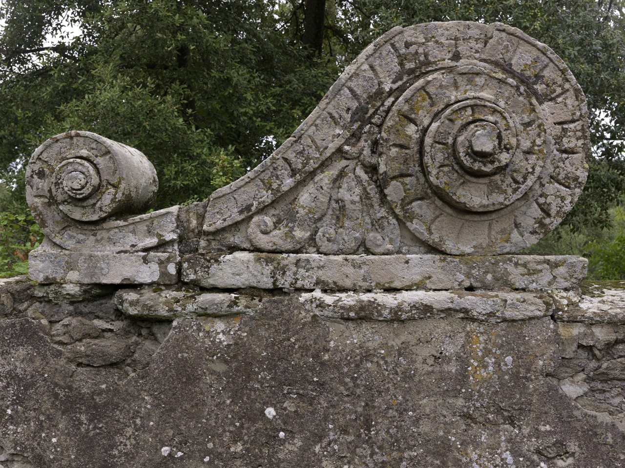 motivo decorativo a volute (decorazione plastico-architettonica, paio) di Ghinucci Tommaso (attribuito) (sec. XVI)