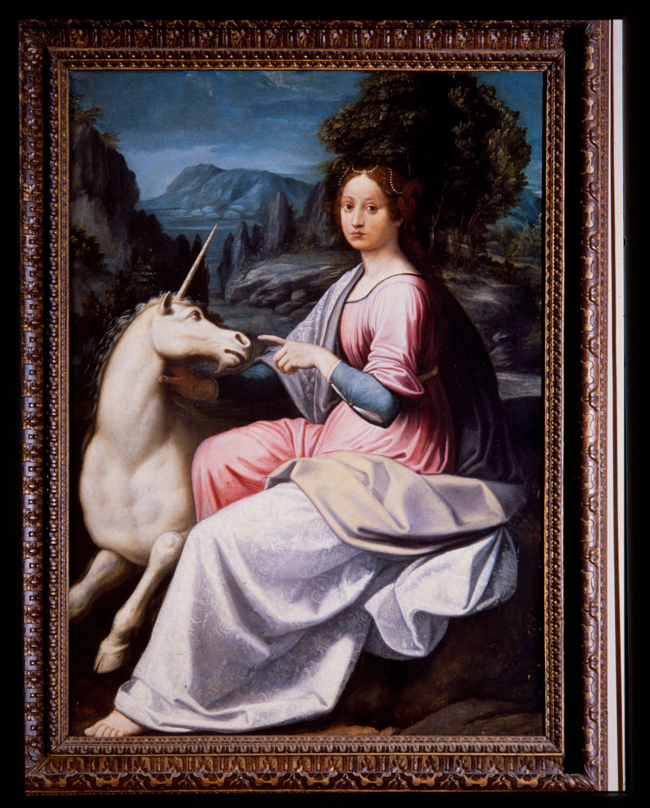 Dama con unicorno (dipinto, opera isolata) di Longhi Luca (attribuito) (metà sec. XVI)