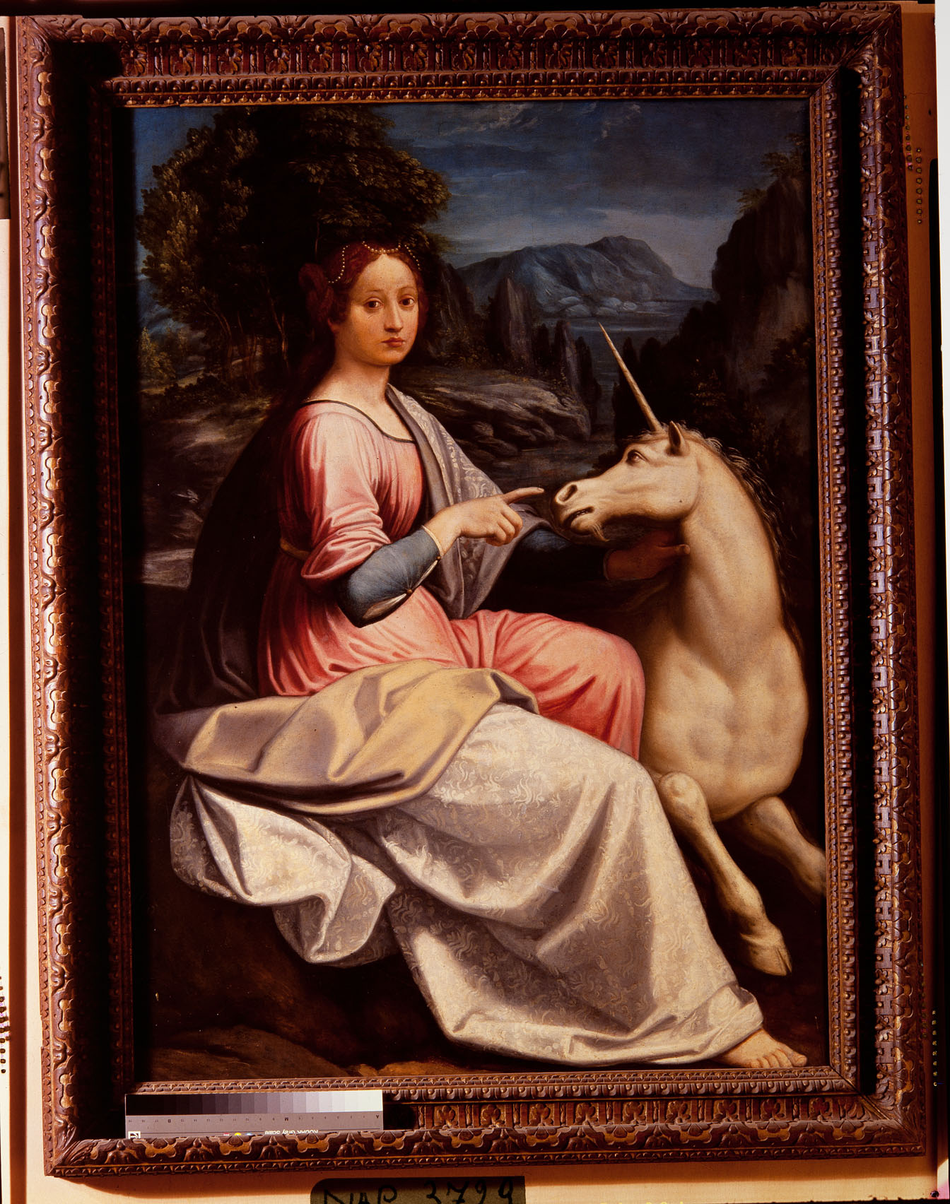 Dama con unicorno (dipinto, opera isolata) di Longhi Luca (attribuito) (metà sec. XVI)