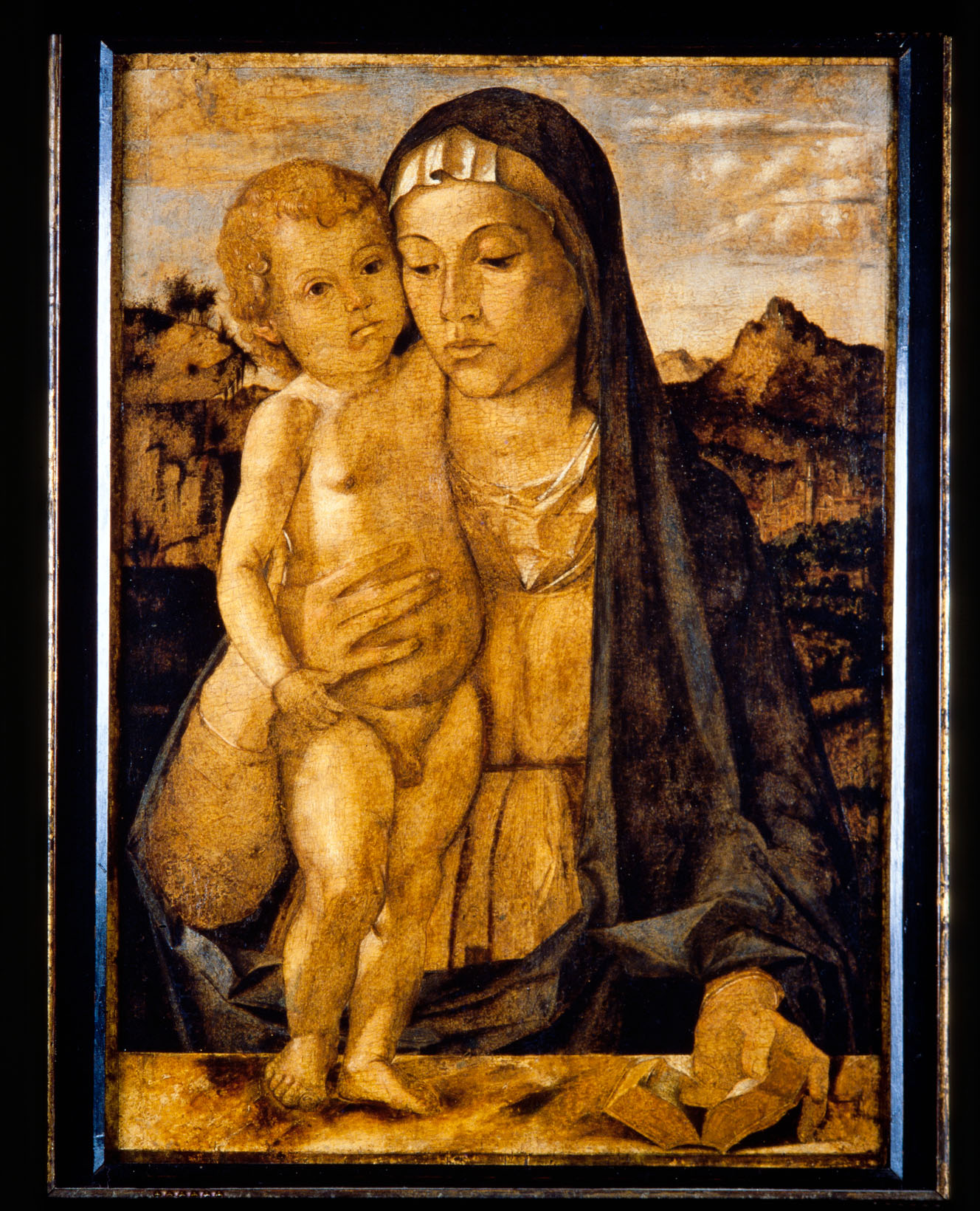 Madonna con Bambino (dipinto, opera isolata) di Montagna Bartolomeo (attribuito) (sec. XV)