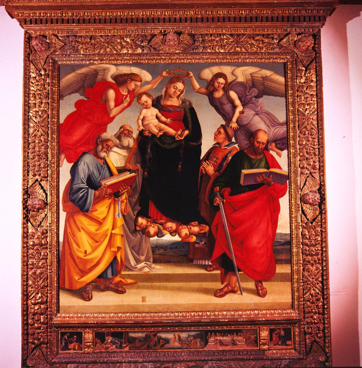 Madonna col Bambino in gloria tra i santi Pietro, Bernardo, Stefano, Paolo (dipinto) di Signorelli Luca (sec. XVI)