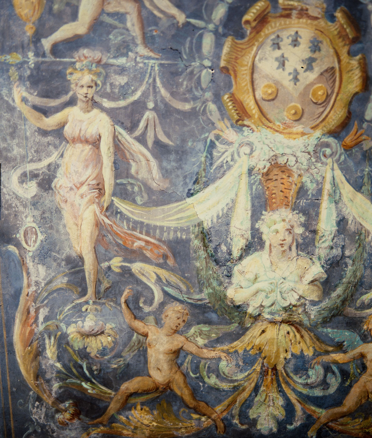 Grottesca con stemma del vescovo Mario Ruffini (dipinto murale, elemento d'insieme) di Bonaccorsi Pietro detto Perin del Vaga (cerchia) (sec. XVI)
