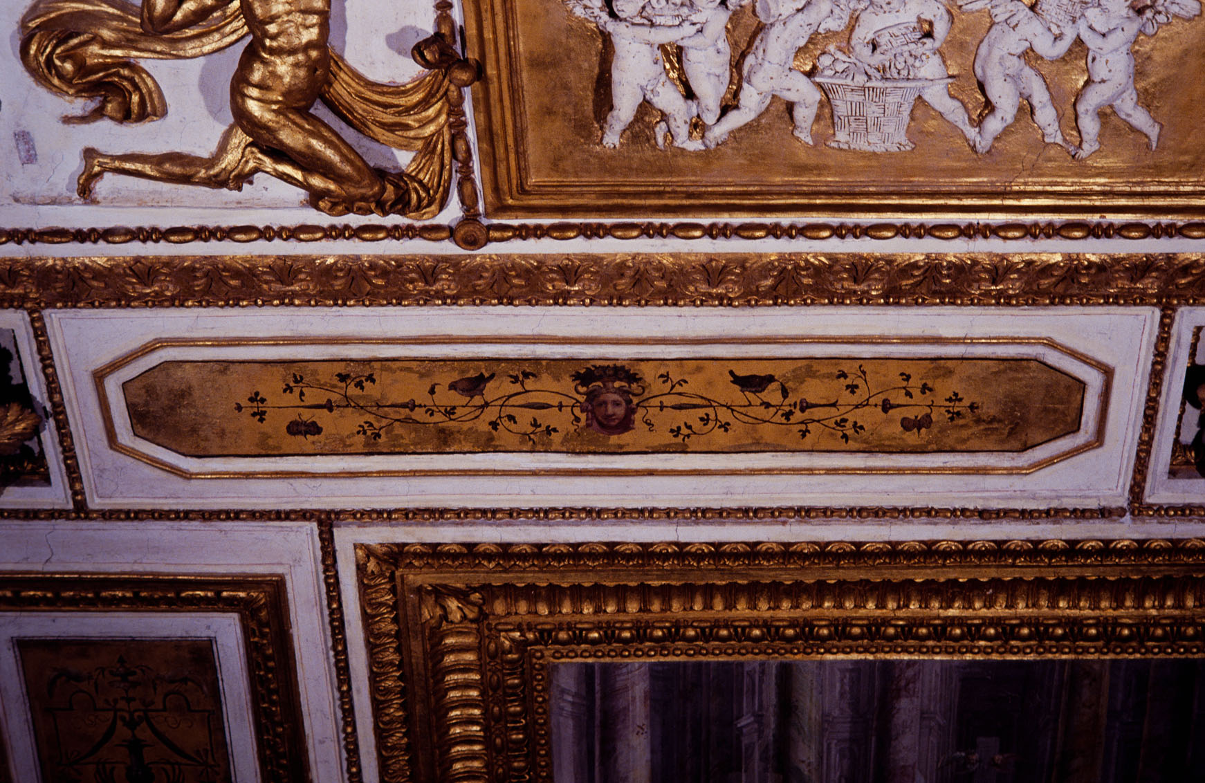 Decorazione a grottesca (dipinto, serie) di Bonaccorsi Pietro detto Perin del Vaga (e aiuti) (sec. XVI)