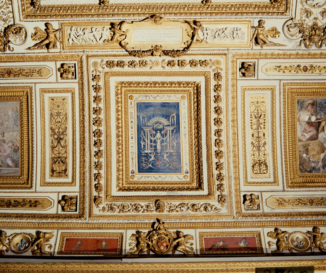 Grottesca (dipinto murale, elemento d'insieme) di Bonaccorsi Pietro detto Perin del Vaga (cerchia) (sec. XVI)