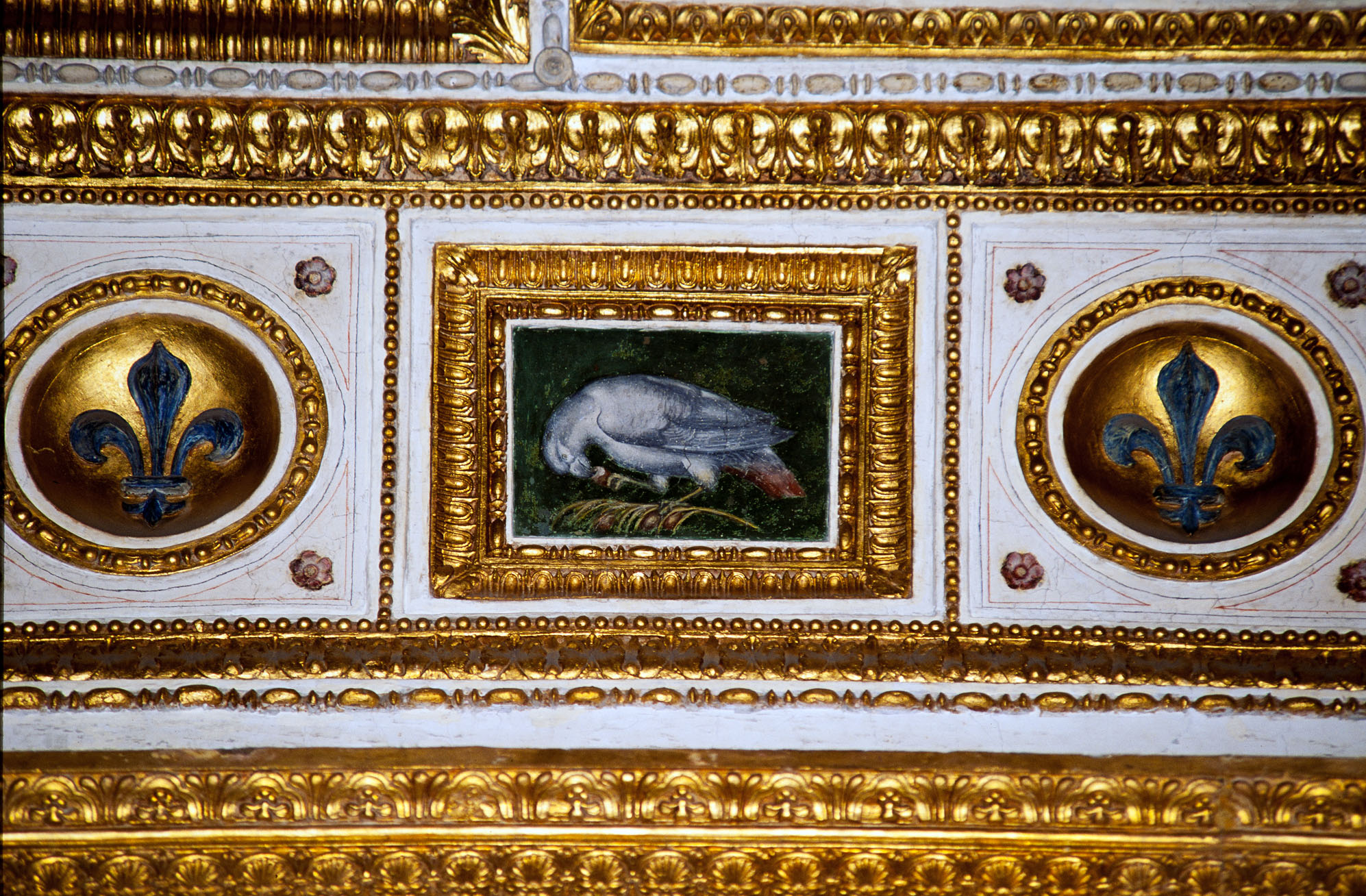 Gigli farnesiani e pannello con uccello (decorazione plastico-pittorica) di Bonaccorsi Pietro detto Perin del Vaga (e aiuti) (sec. XVI)