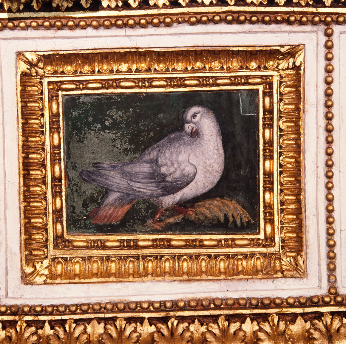 Gigli farnesiani e pannello con uccelli (decorazione plastico-pittorica) di Bonaccorsi Pietro detto Perin del Vaga (e aiuti) (sec. XVI) 