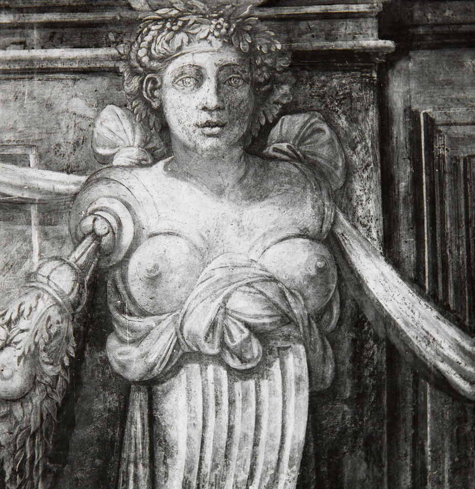 Erme (dipinto murale, serie) di Bonaccorsi Pietro detto Perin del Vaga (e aiuti) (sec. XVI)