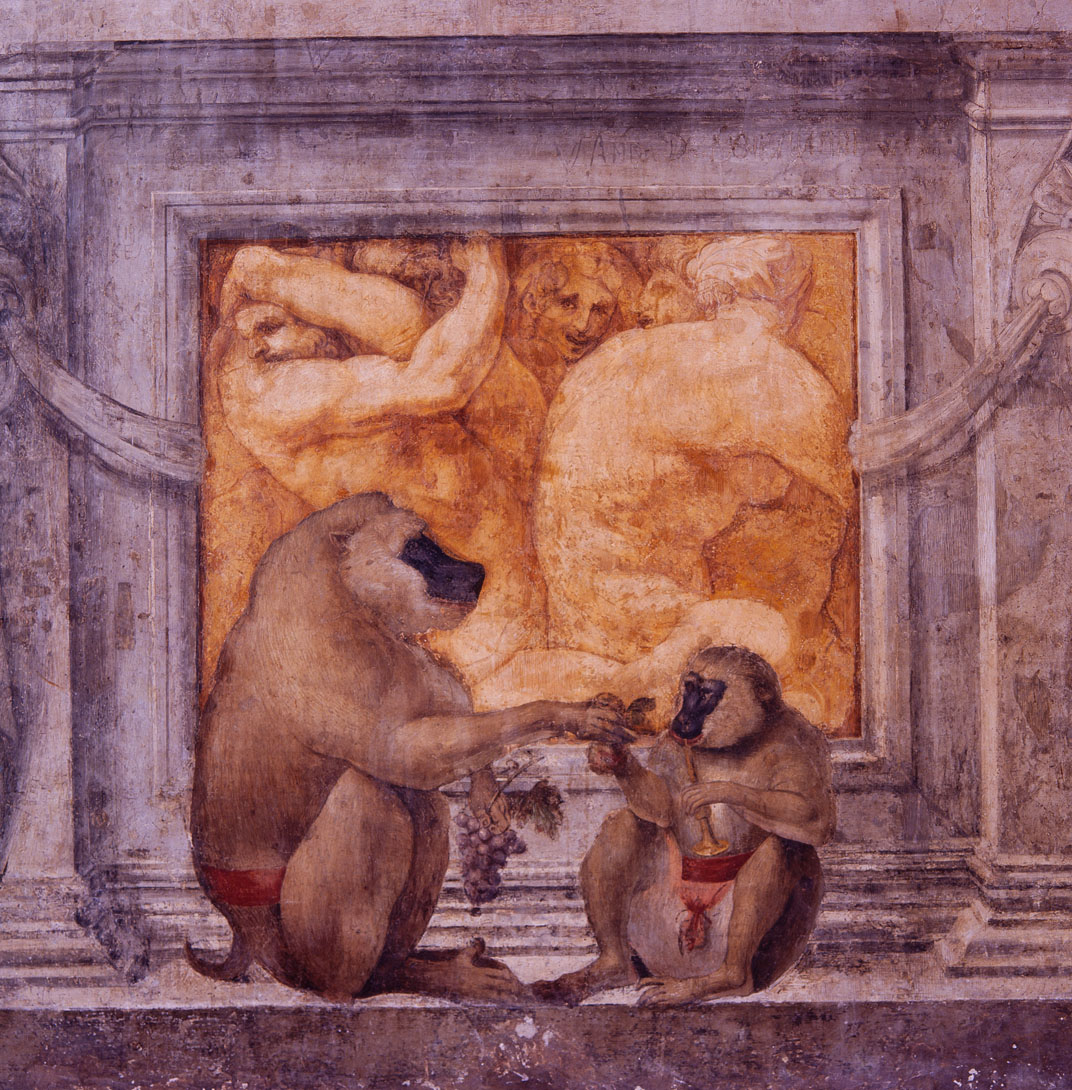 Tritoni e Scimmie (dipinto murale, elemento d'insieme) di Bonaccorsi Pietro detto Perin del Vaga (e aiuti), Pellegrini Pellegrino detto Pellegrino Tibaldi (attribuito) (sec. XVI)