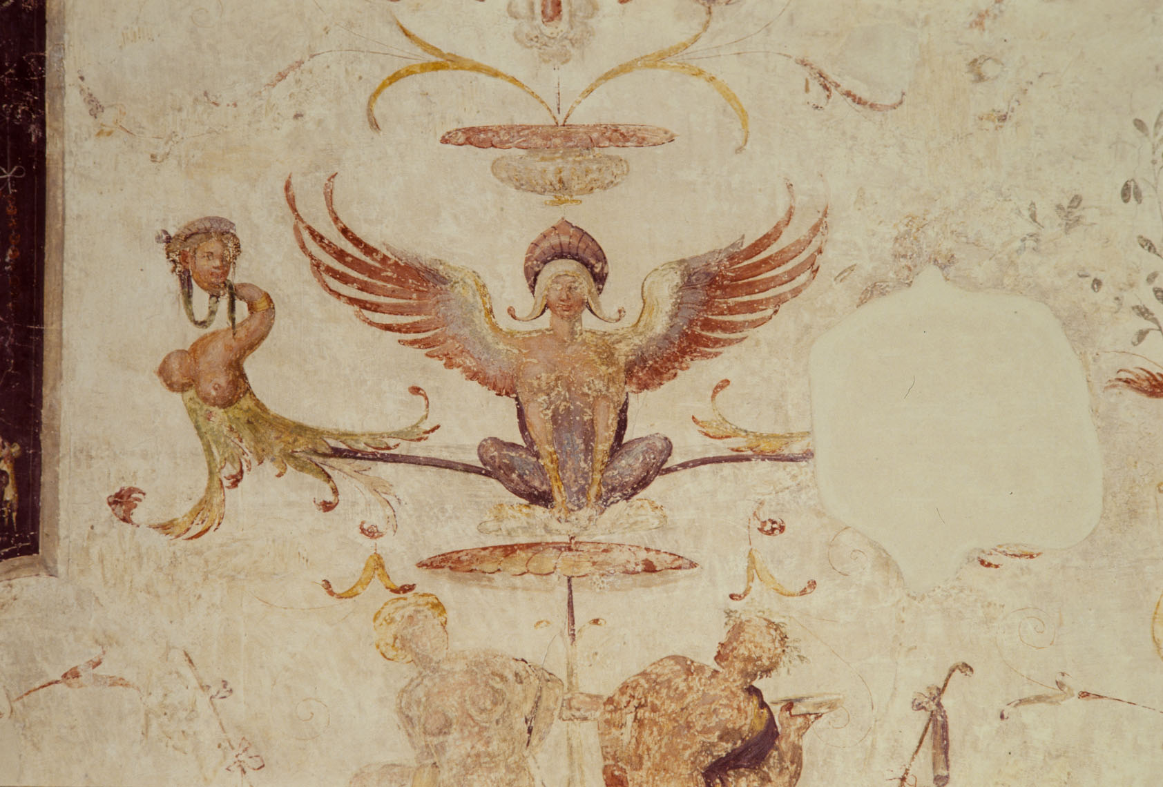 motivi decorativi a grottesche (dipinto murale) di Bonaccorsi Pietro detto Perin del Vaga, Luzio Romano (e aiuti) (sec. XVI)
