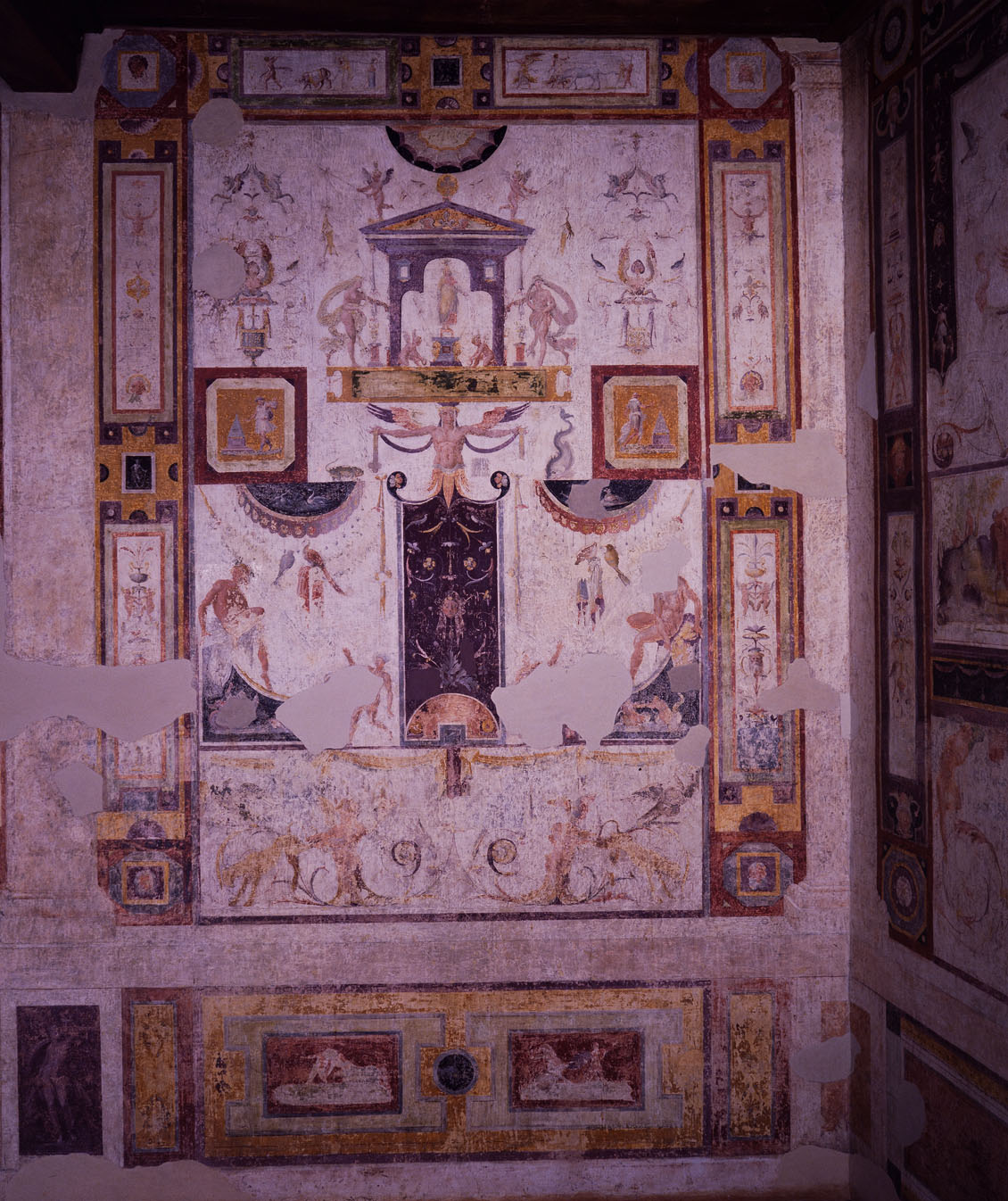 motivi decorativi a grottesche (dipinto murale) di Bonaccorsi Pietro detto Perin del Vaga, Luzio Romano (e aiuti) (sec. XVI)