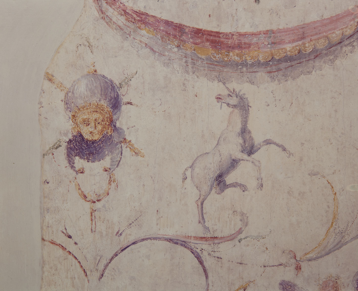 motivi decorativi a grottesche (dipinto murale) di Bonaccorsi Pietro detto Perin del Vaga, Luzio Romano (e aiuti) (sec. XVI) 