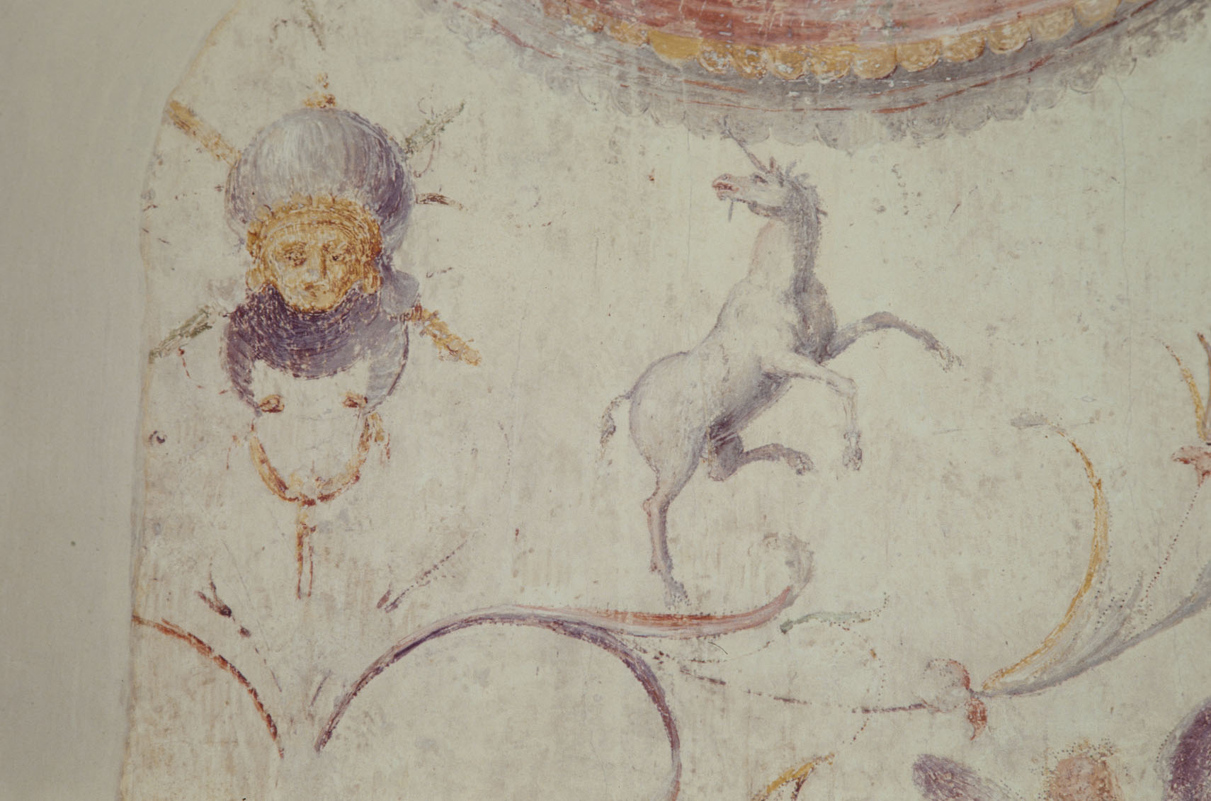 motivi decorativi a grottesche (dipinto murale) di Luzio Romano (e aiuti) (sec. XVI)