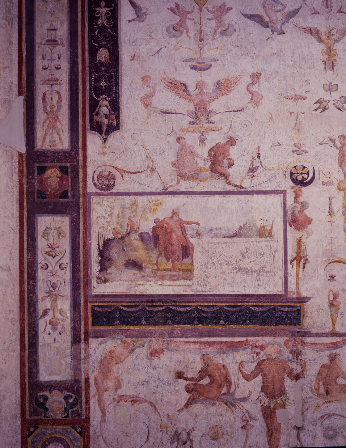 motivi decorativi a grottesche (dipinto murale) di Luzio Romano (e aiuti) (sec. XVI)