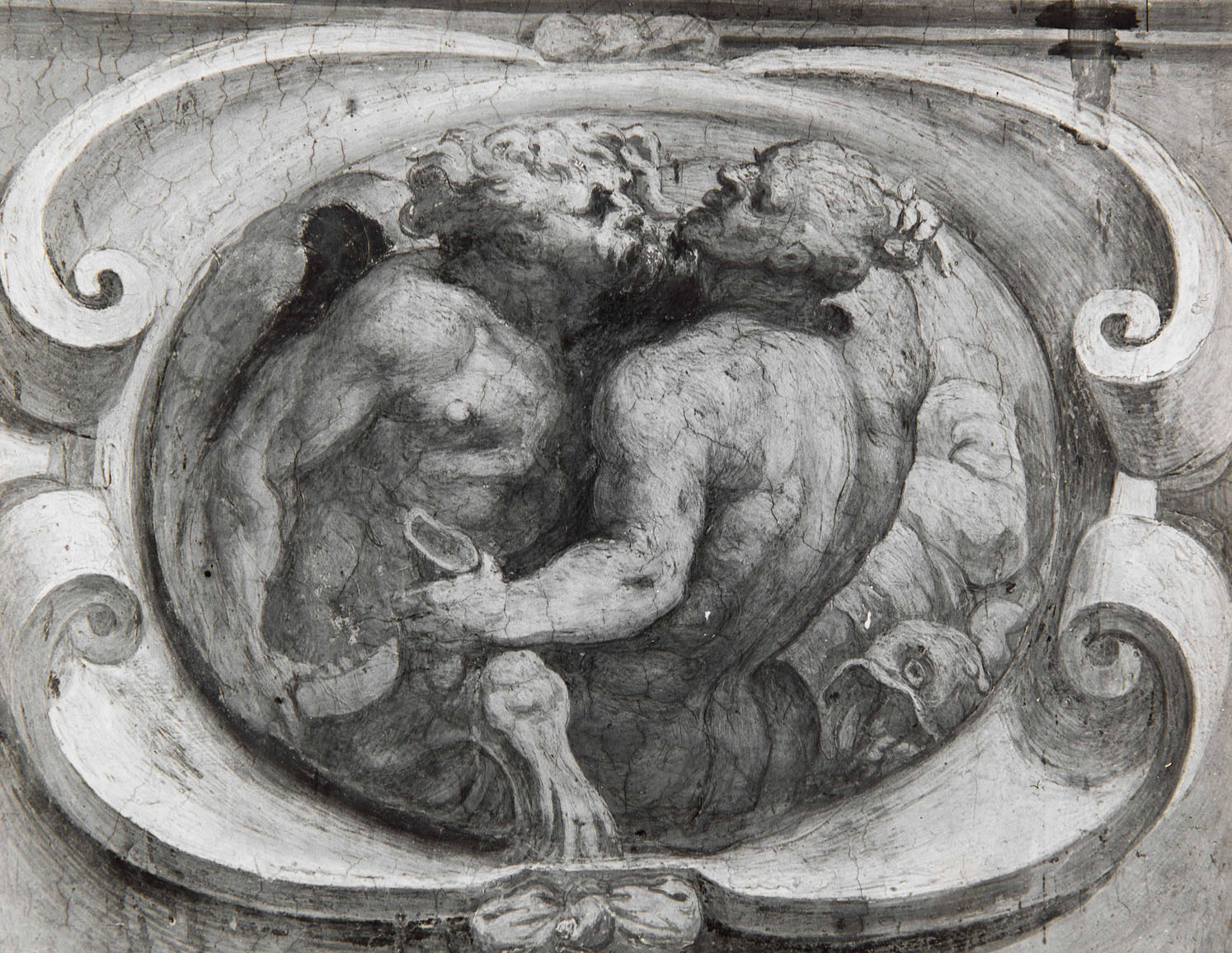 Tritoni in lotta (dipinto murale, elemento d'insieme) di Bonaccorsi Pietro detto Perin del Vaga (attribuito) (sec. XVI)