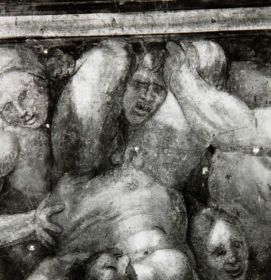 Creature marine in lotta (dipinto murale, elemento d'insieme) di Bonaccorsi Pietro detto Perin del Vaga (e aiuti), Pellegrini Pellegrino detto Pellegrino Tibaldi (attribuito) (sec. XVI) 