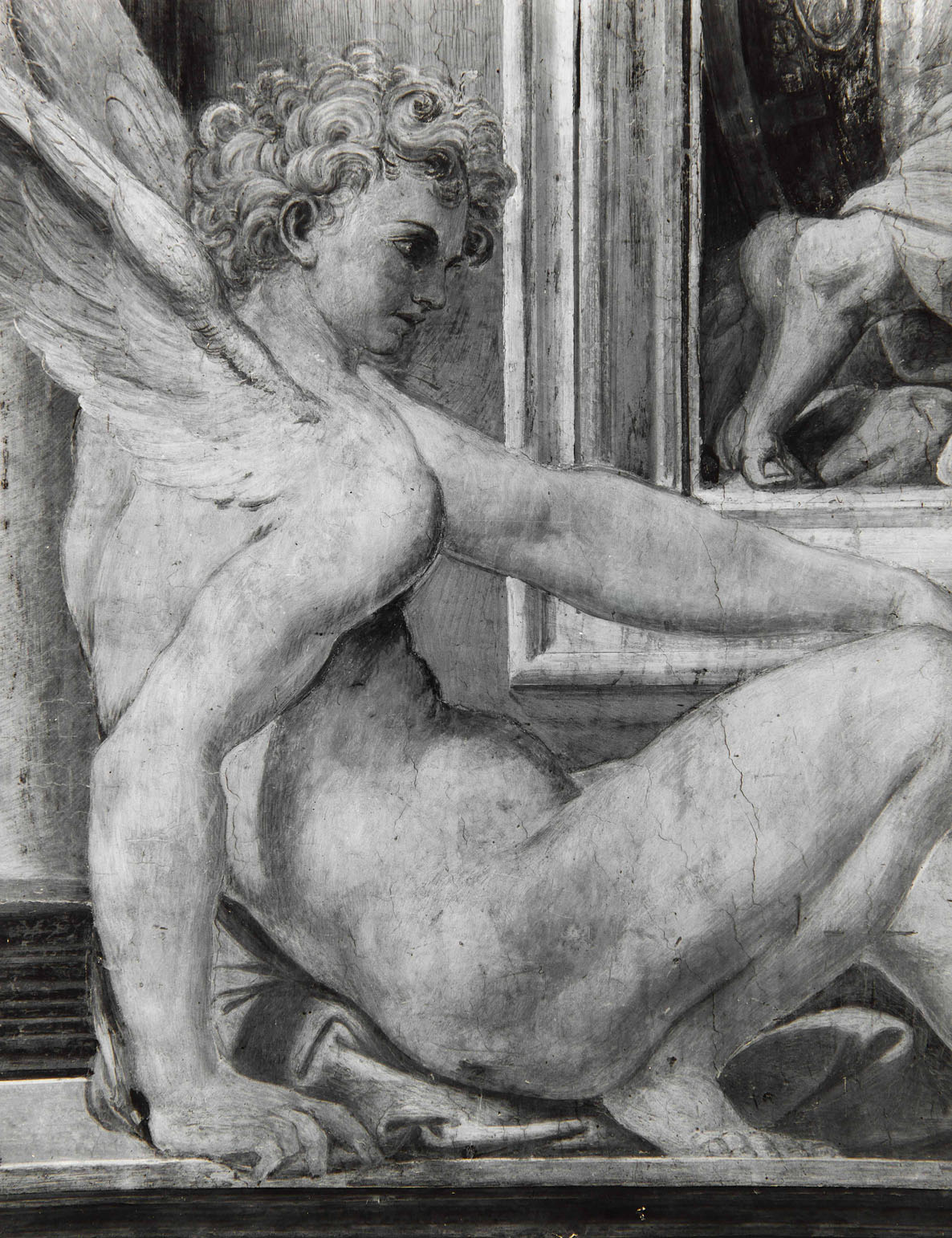 Efebi alati e mascherone (dipinto murale, elemento d'insieme) di Pellegrini Pellegrino detto Pellegrino Tibaldi (attribuito) (sec. XVI)