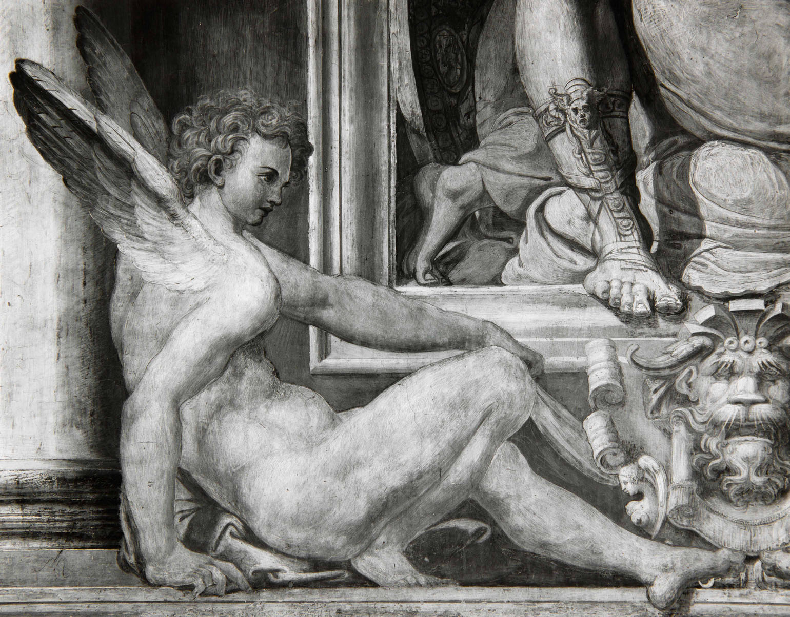 Efebi alati e mascherone (dipinto murale, elemento d'insieme) di Pellegrini Pellegrino detto Pellegrino Tibaldi (attribuito) (sec. XVI)