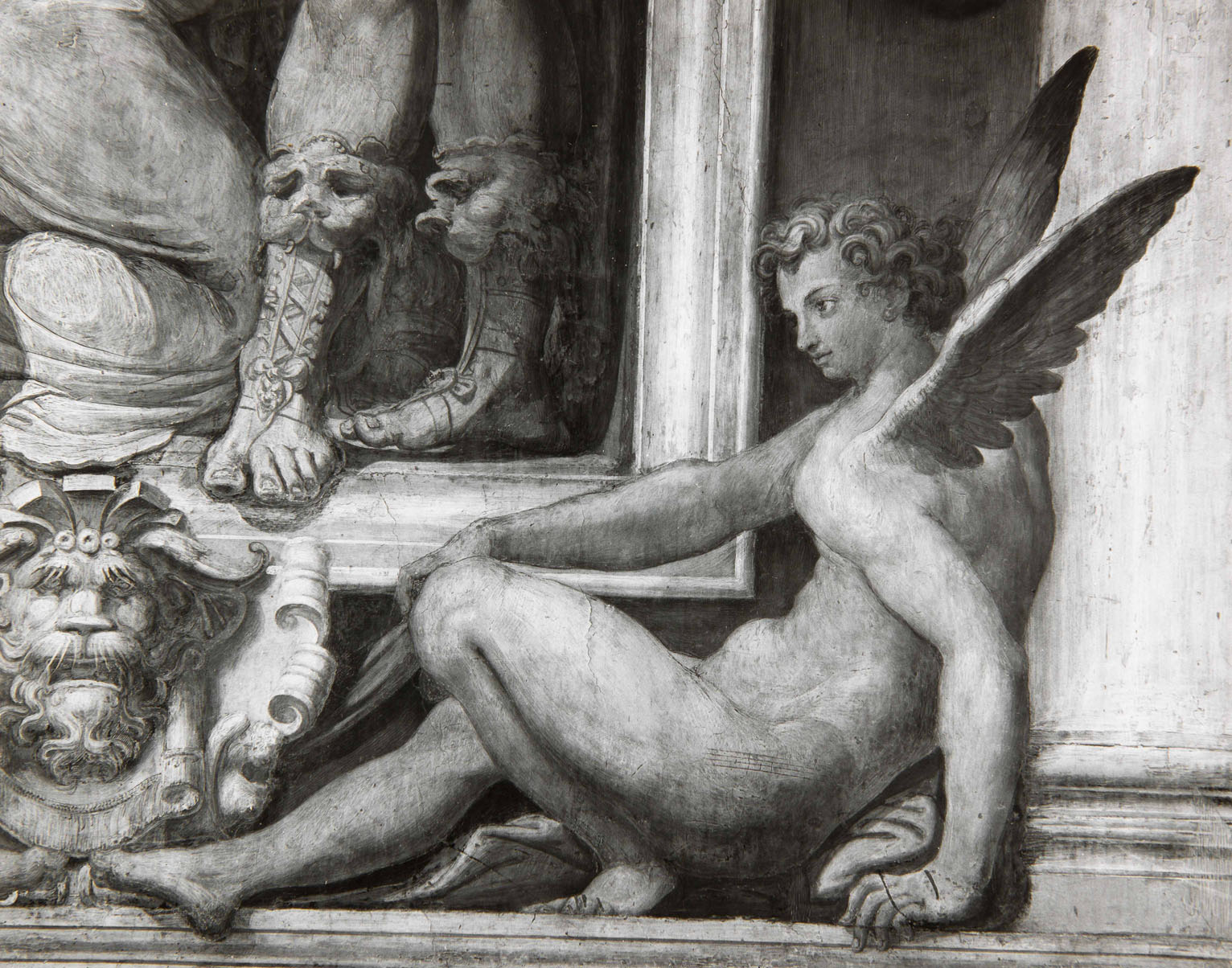 Efebi alati e mascherone (dipinto murale, elemento d'insieme) di Pellegrini Pellegrino detto Pellegrino Tibaldi (attribuito) (sec. XVI) 
