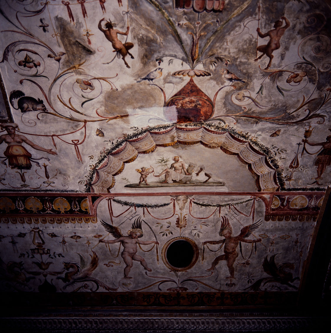 Motivi decorativi a grottesche (dipinto murale, elemento d'insieme) di Luzio Romano (e aiuti) (sec. XVI)