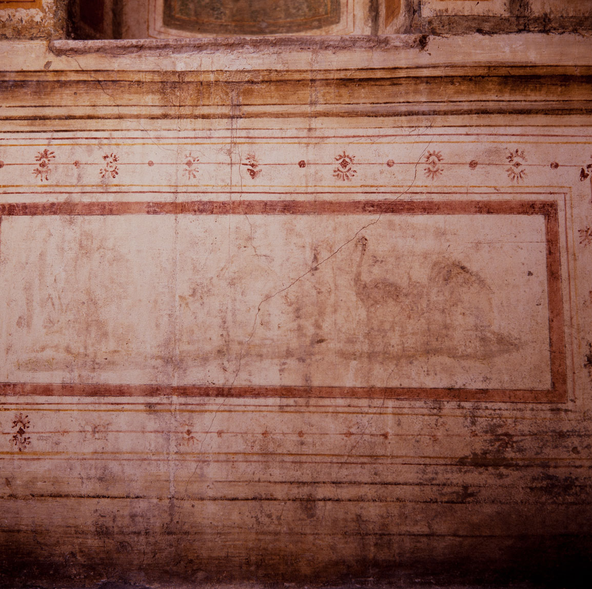 motivi decorativi vegetali con putti alati (dipinto murale) di Pippi Giulio detto Giulio Romano, Giovanni da Udine detto Giovanni Ricamatore (sec. XVI)