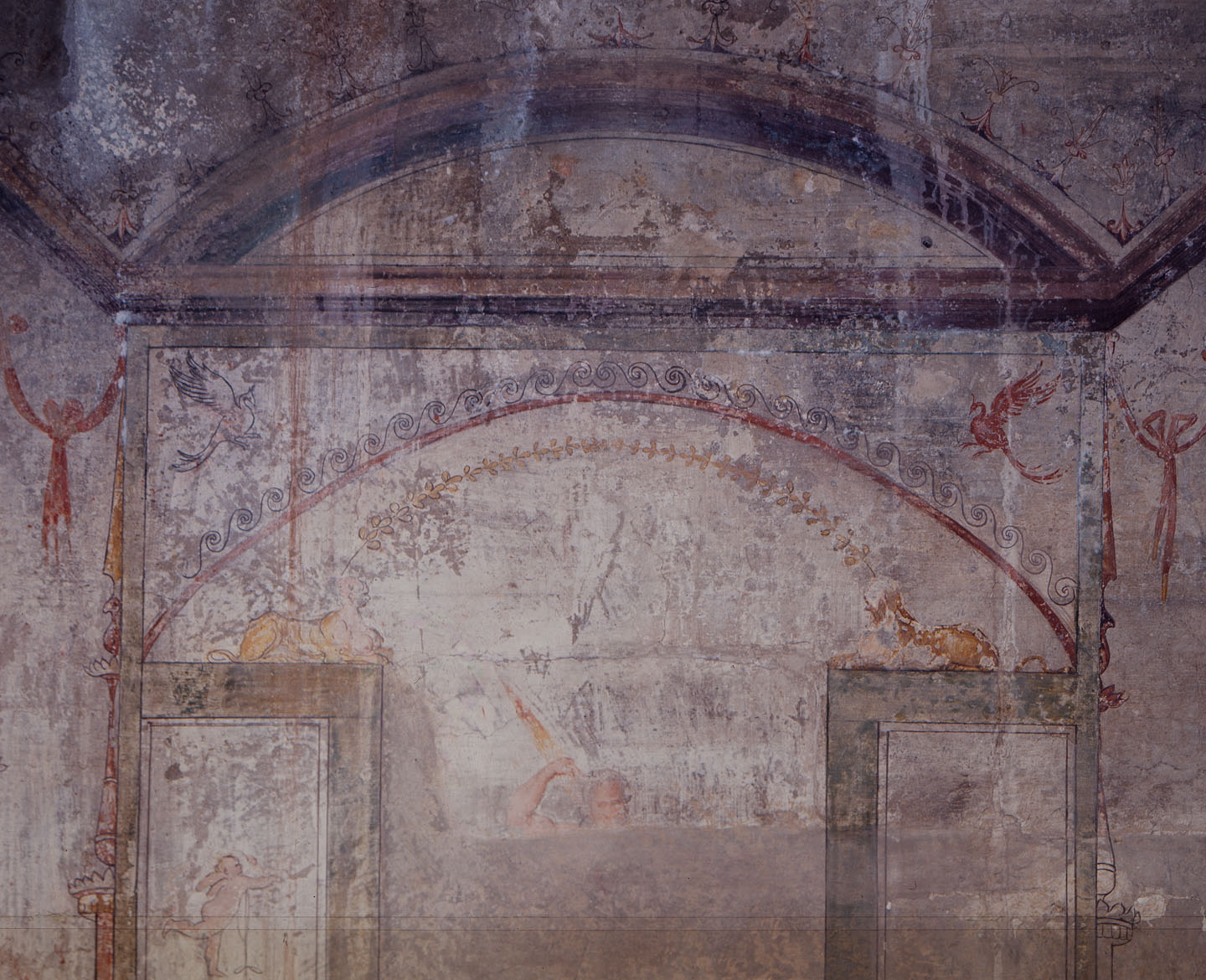motivi decorativi a grottesche (dipinto murale) di Luzio Romano (e aiuti) (sec. XVI)