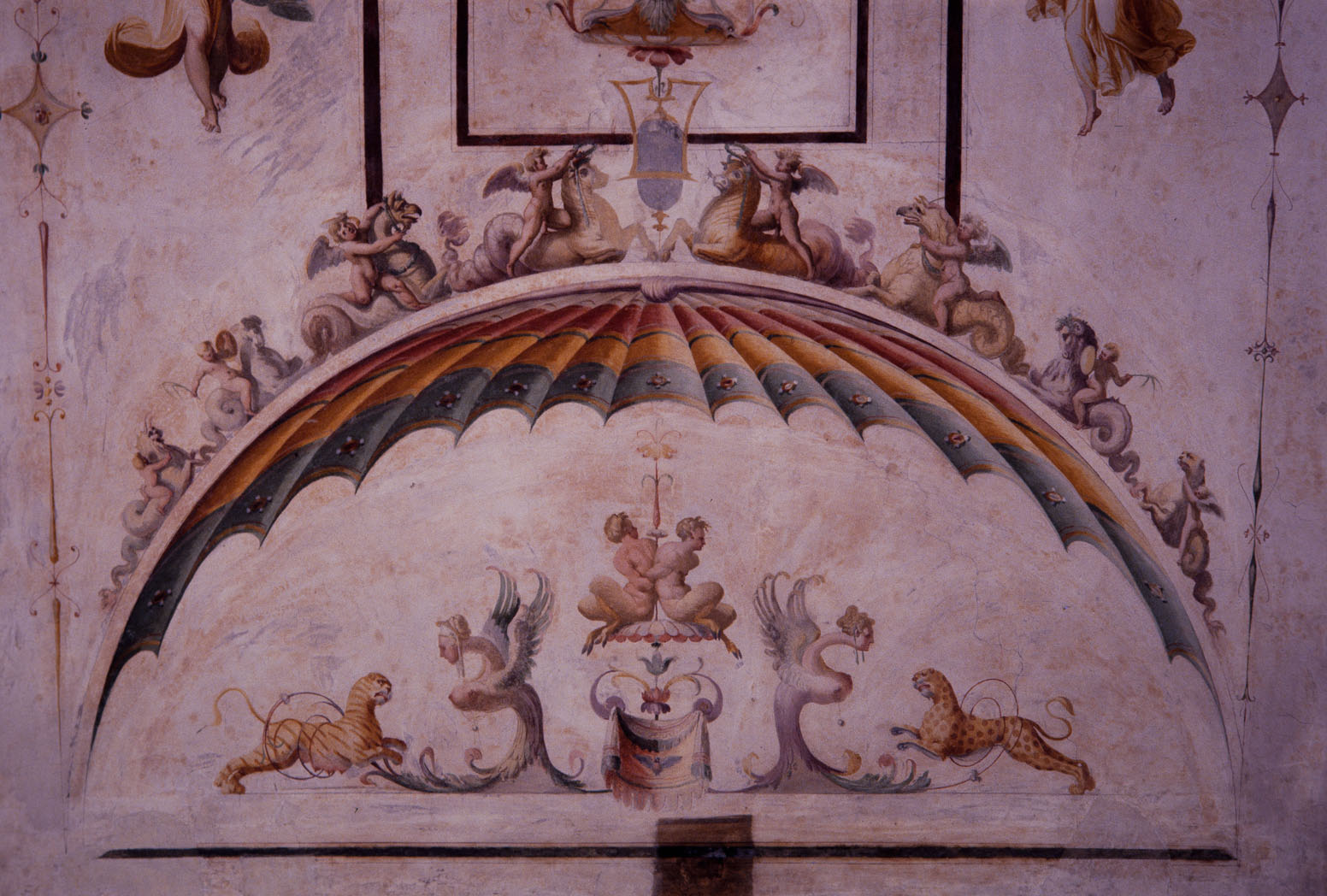 Storie di Apollo (decorazione pittorica, complesso decorativo) di Rietti Domenico da Figline detto Zaga, Bonaccorsi Pietro detto Perin del Vaga (e aiuti) (sec. XVI)