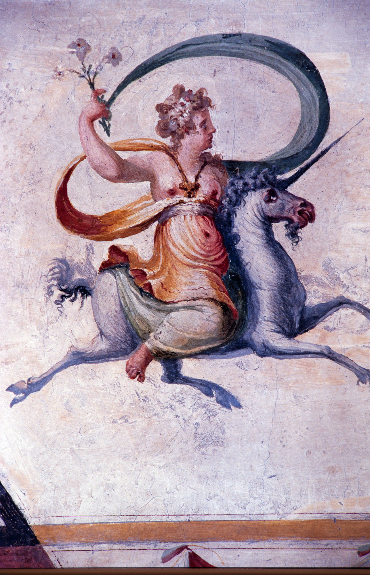 Storie di Apollo (decorazione pittorica, complesso decorativo) di Rietti Domenico da Figline detto Zaga, Bonaccorsi Pietro detto Perin del Vaga (e aiuti) (sec. XVI) 