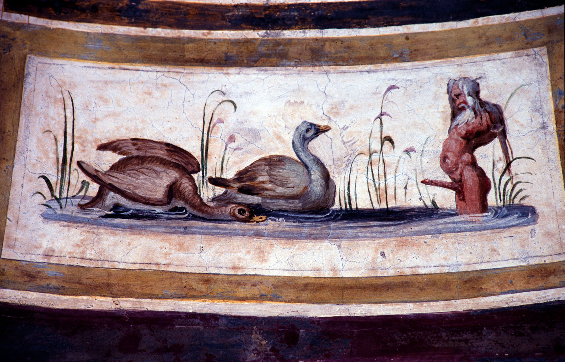 Storie di Apollo (decorazione pittorica, complesso decorativo) di Rietti Domenico da Figline detto Zaga, Bonaccorsi Pietro detto Perin del Vaga (e aiuti) (sec. XVI) 
