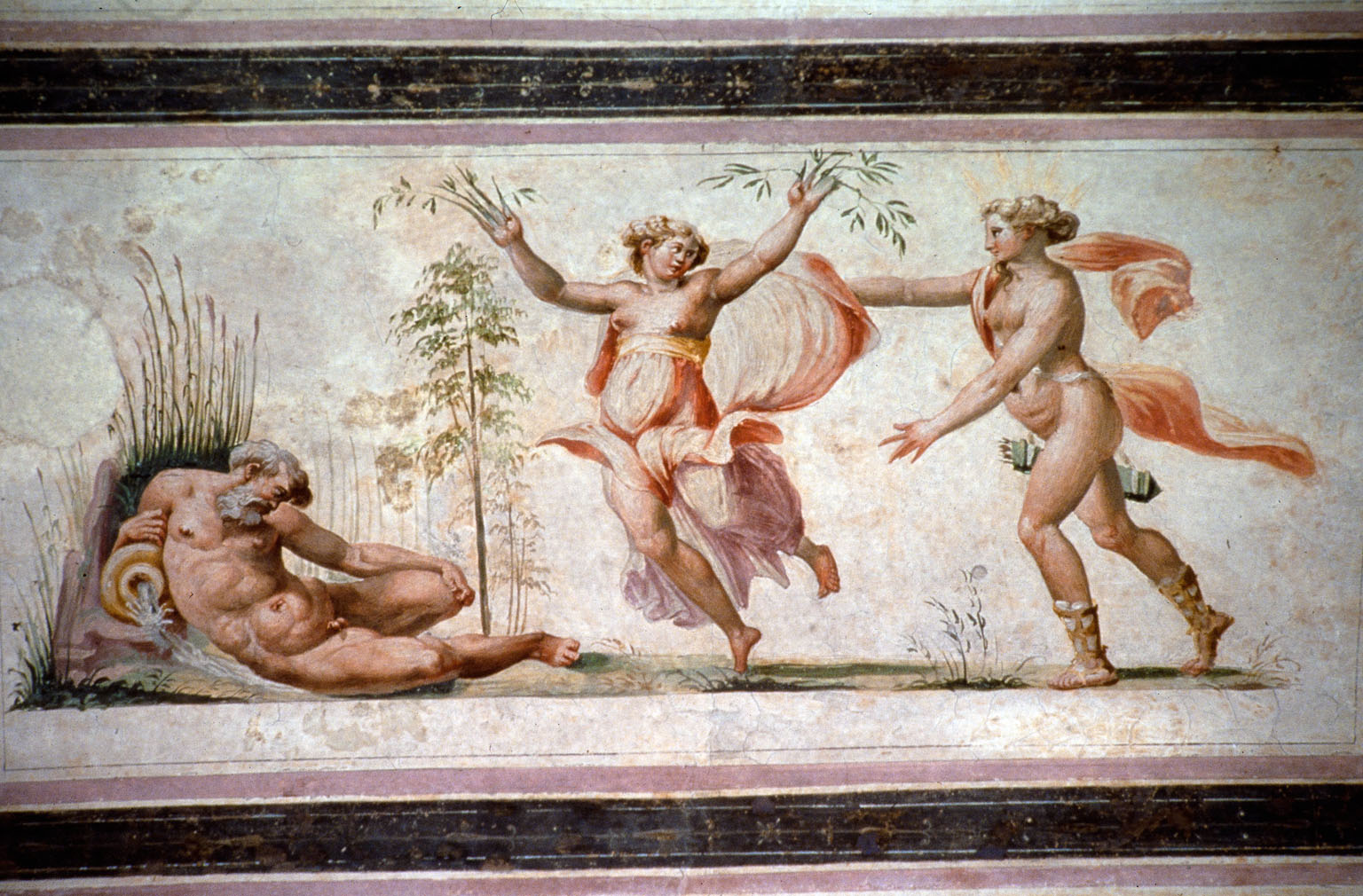 Apollo e Dafne (dipinto murale, ciclo) di Rietti Domenico da Figline detto Zaga, Bonaccorsi Pietro detto Perin del Vaga (sec. XVI) 