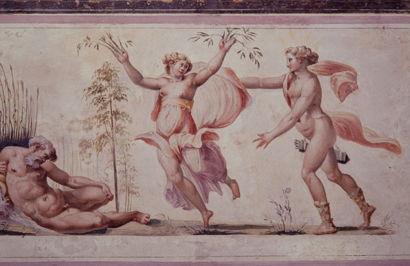 Apollo e Dafne (dipinto murale, ciclo) di Rietti Domenico da Figline detto Zaga, Bonaccorsi Pietro detto Perin del Vaga (sec. XVI) 