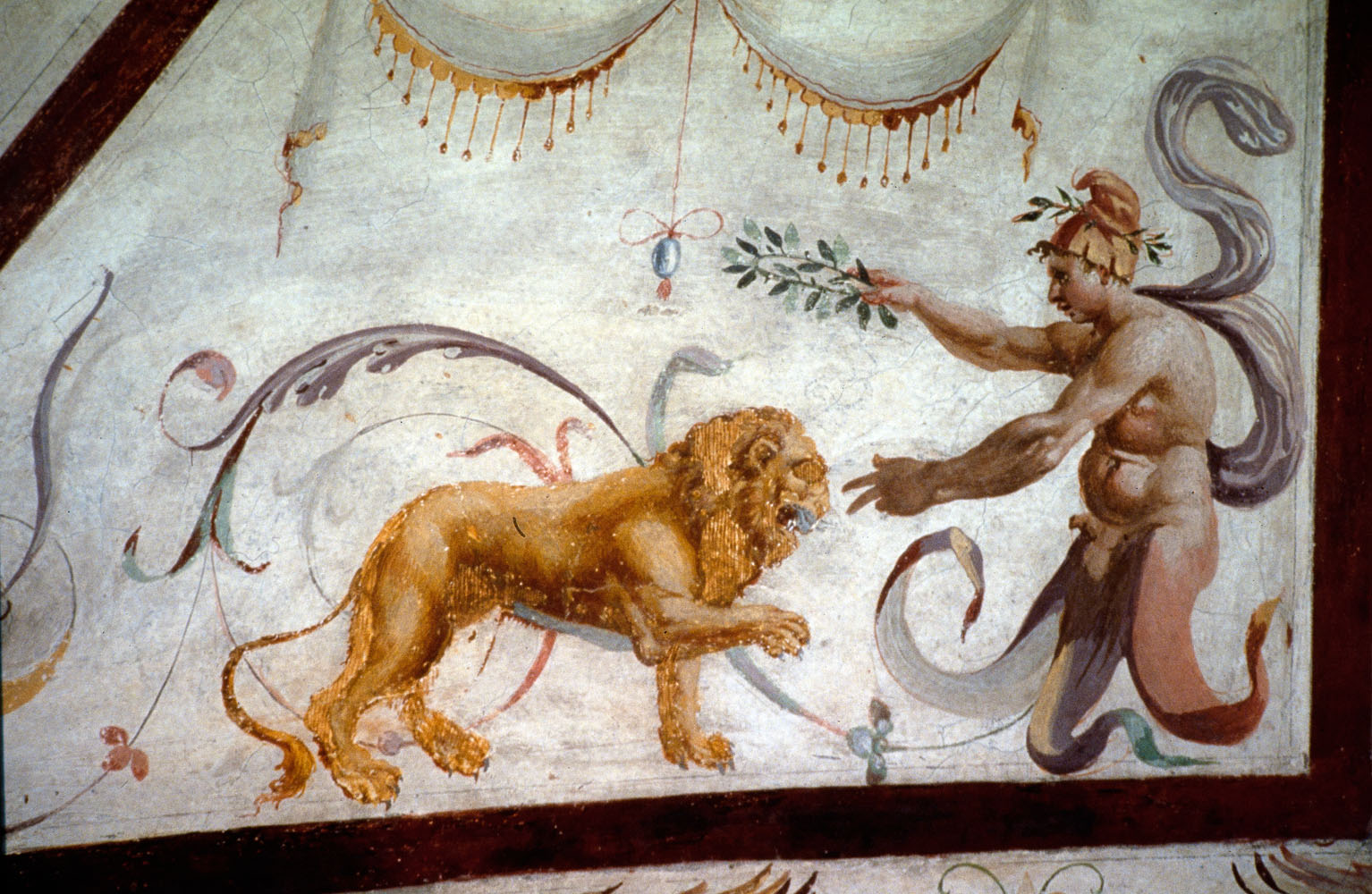 motivi decorativi a grottesche (dipinto murale, ciclo) di Rietti Domenico da Figline detto Zaga, Bonaccorsi Pietro detto Perin del Vaga (sec. XVI) 